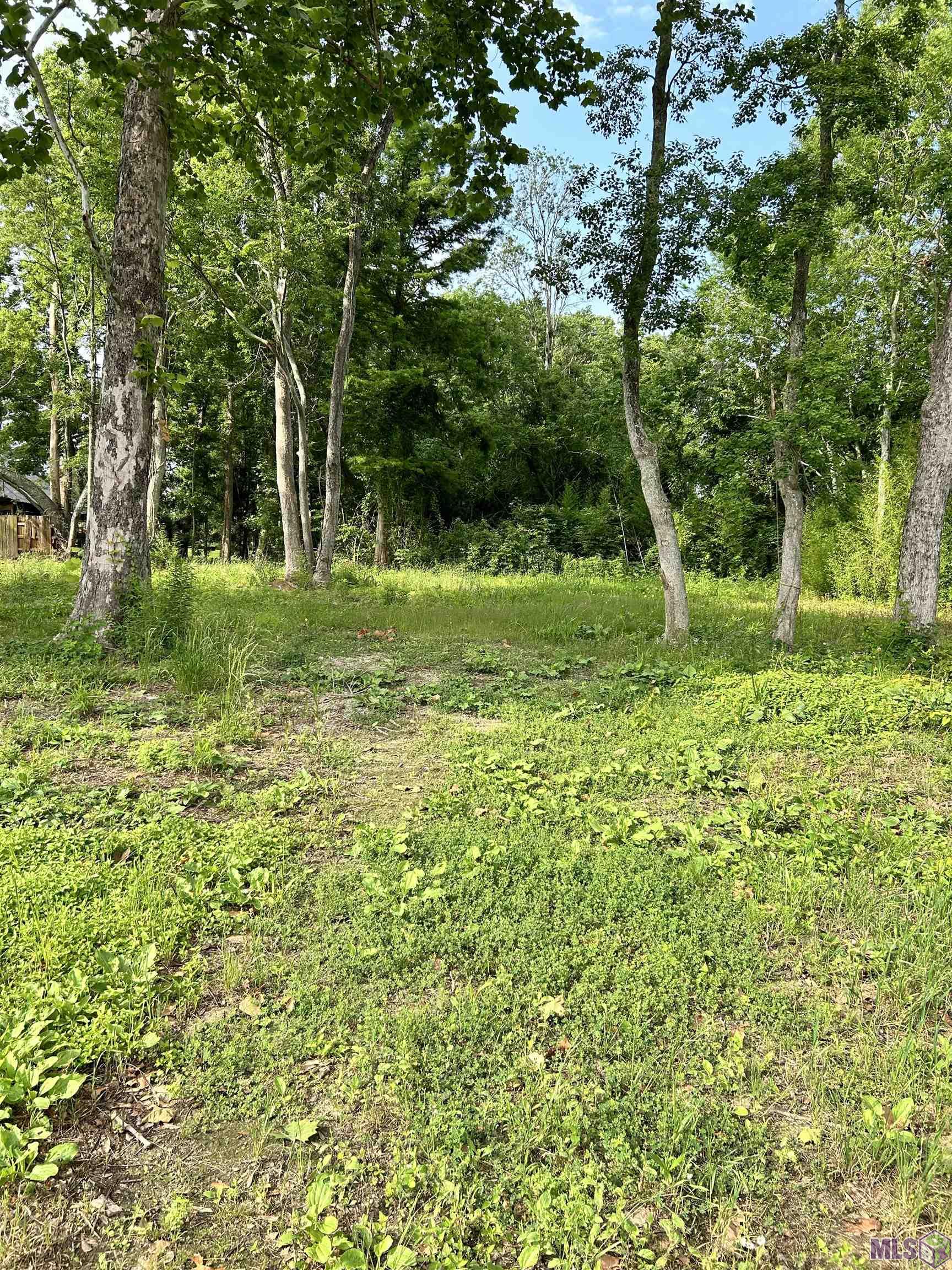 Residential lot (113'x130') ready to build your dream home on. Located on Brightside Drive close to River Road and LSU. Enjoy the view of Tiger Stadium lit up on a Saturday night from your front porch! All utilities (gas, water and electricity) are all there. Property has been staked. See survey attached.