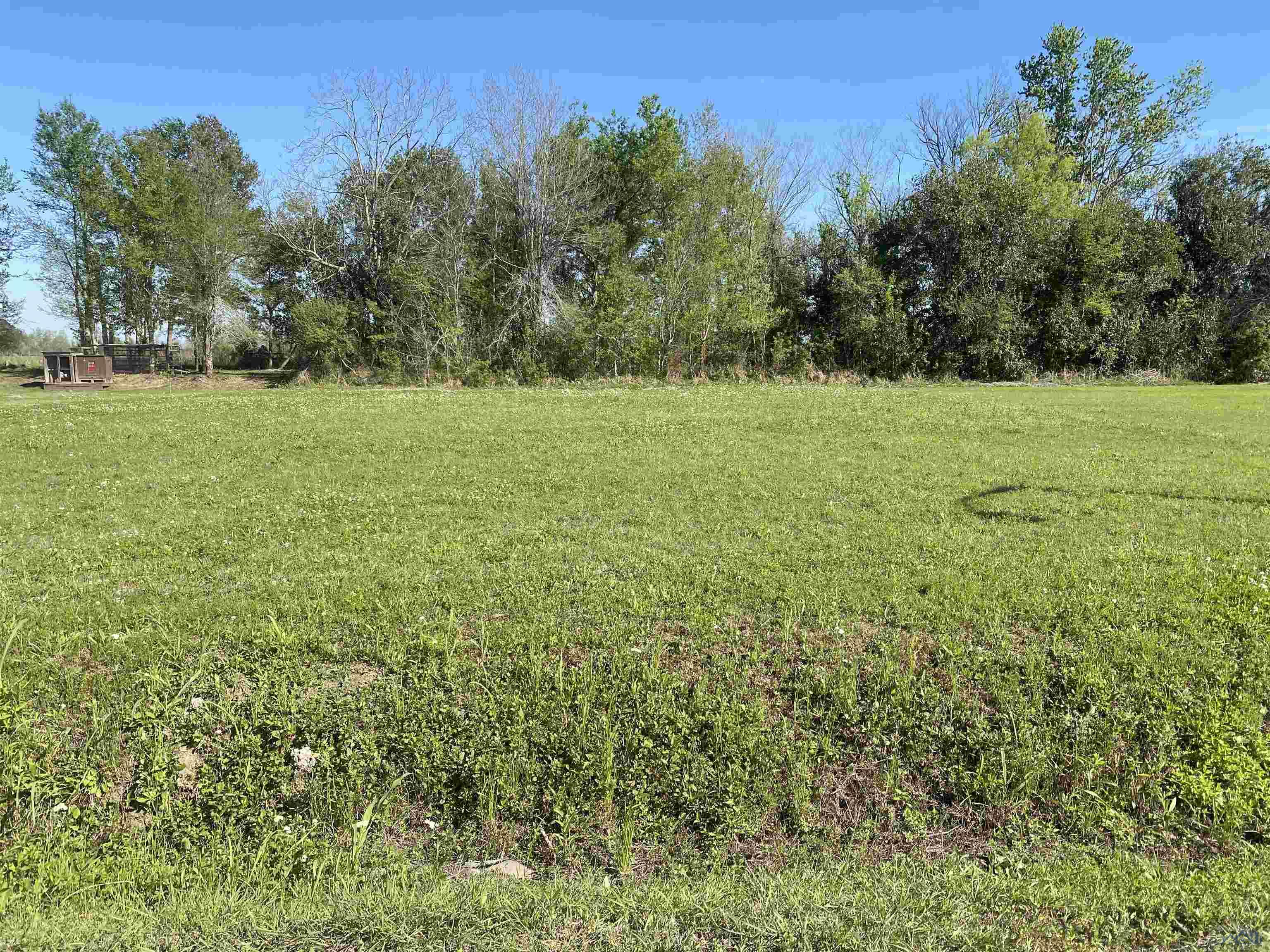 Lots/Land for sale in Raceland, Louisiana, 2024012781