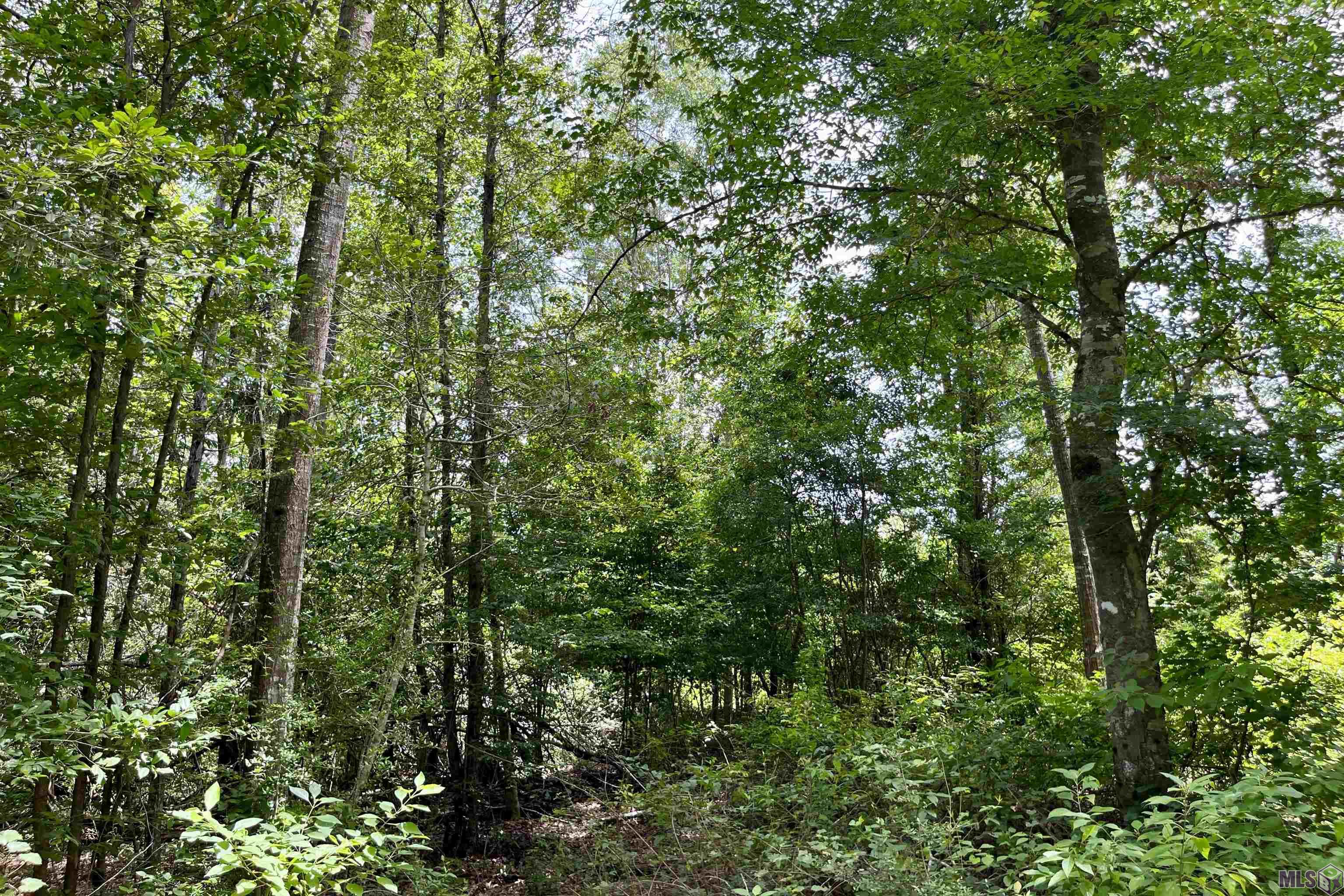 listing_img1