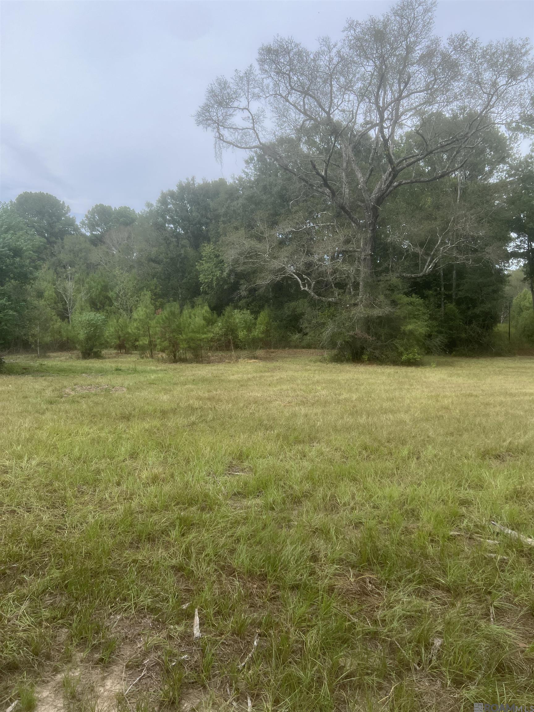 listing_img1