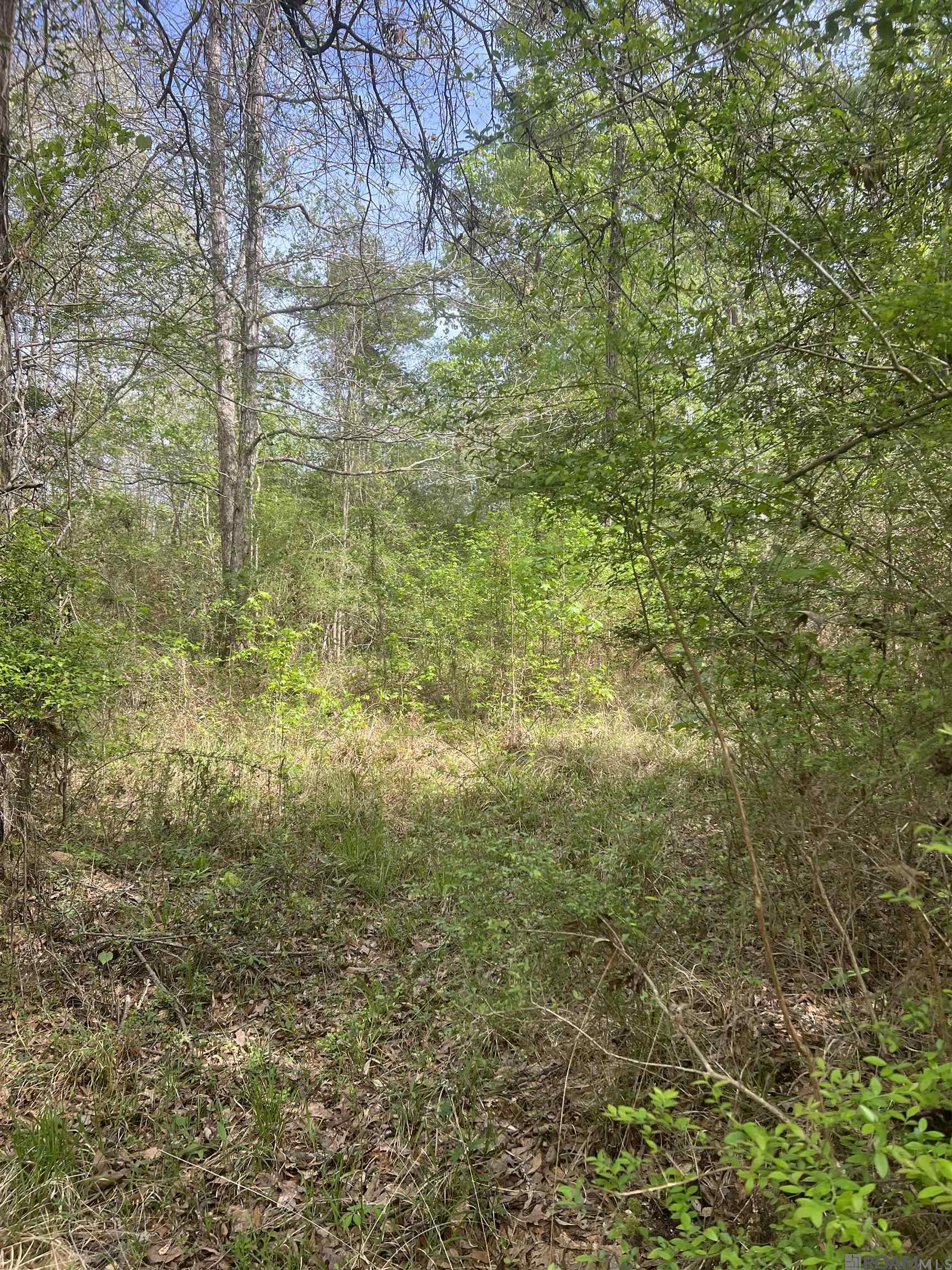 listing_img1