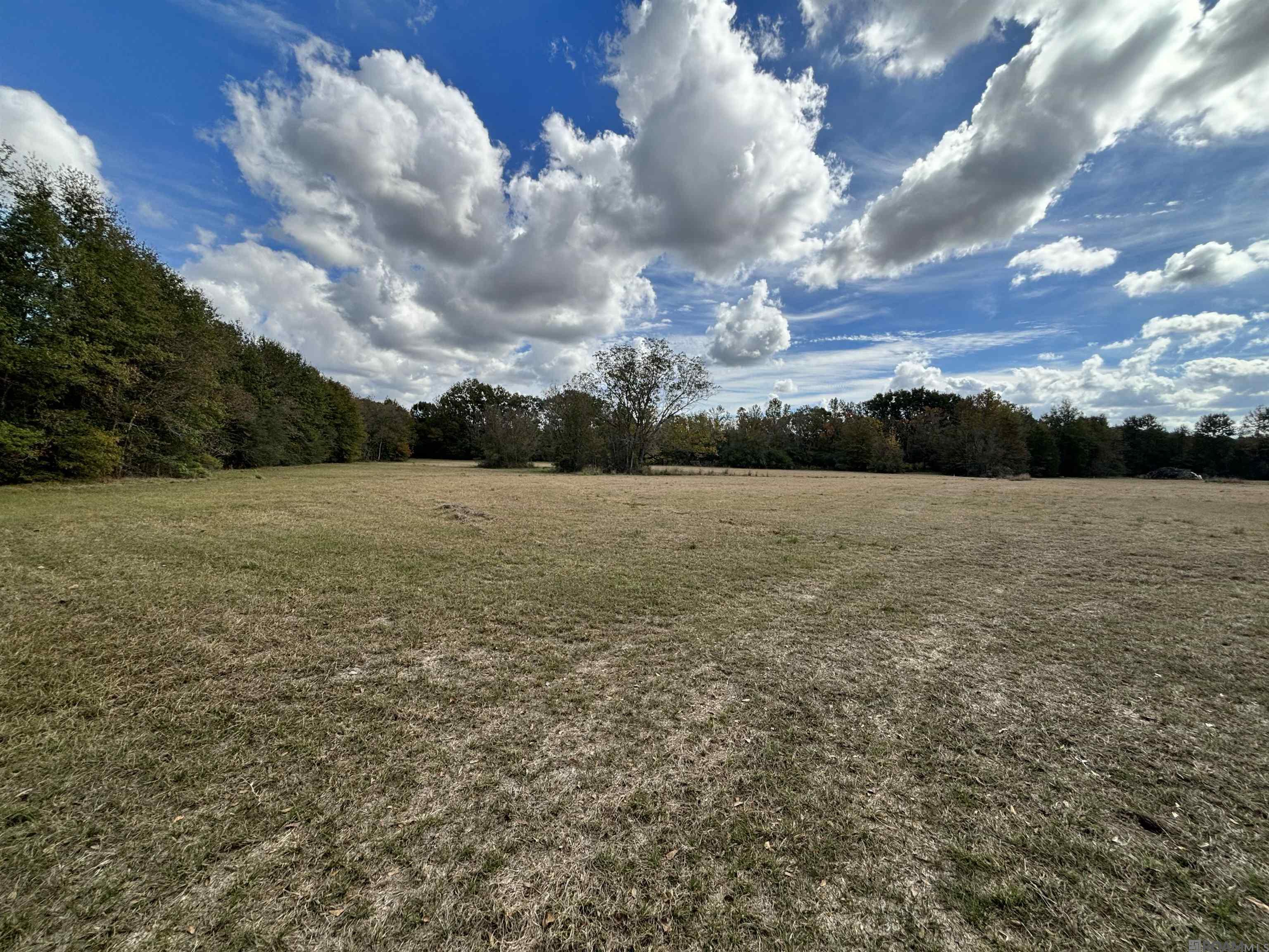 Beautiful 44 acre tract of land with endless possibilities.  Most of the land is in flood zone x (see map) and about 50% cleared. *Lot dimensions not warranted by Realtor.