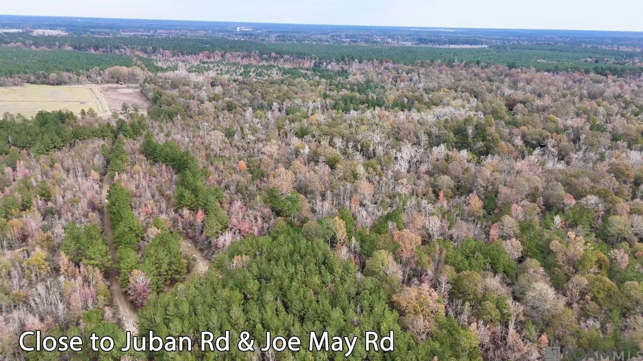 Incredible development opportunity! This 207+ acre property is less than 15 minutes from Juban Crossing with access via Loblolly Lane off of Joe May Rd. Bordering this property are two new developments signaling the hot new area for residential development in Denham Springs! For property access, please contact agent