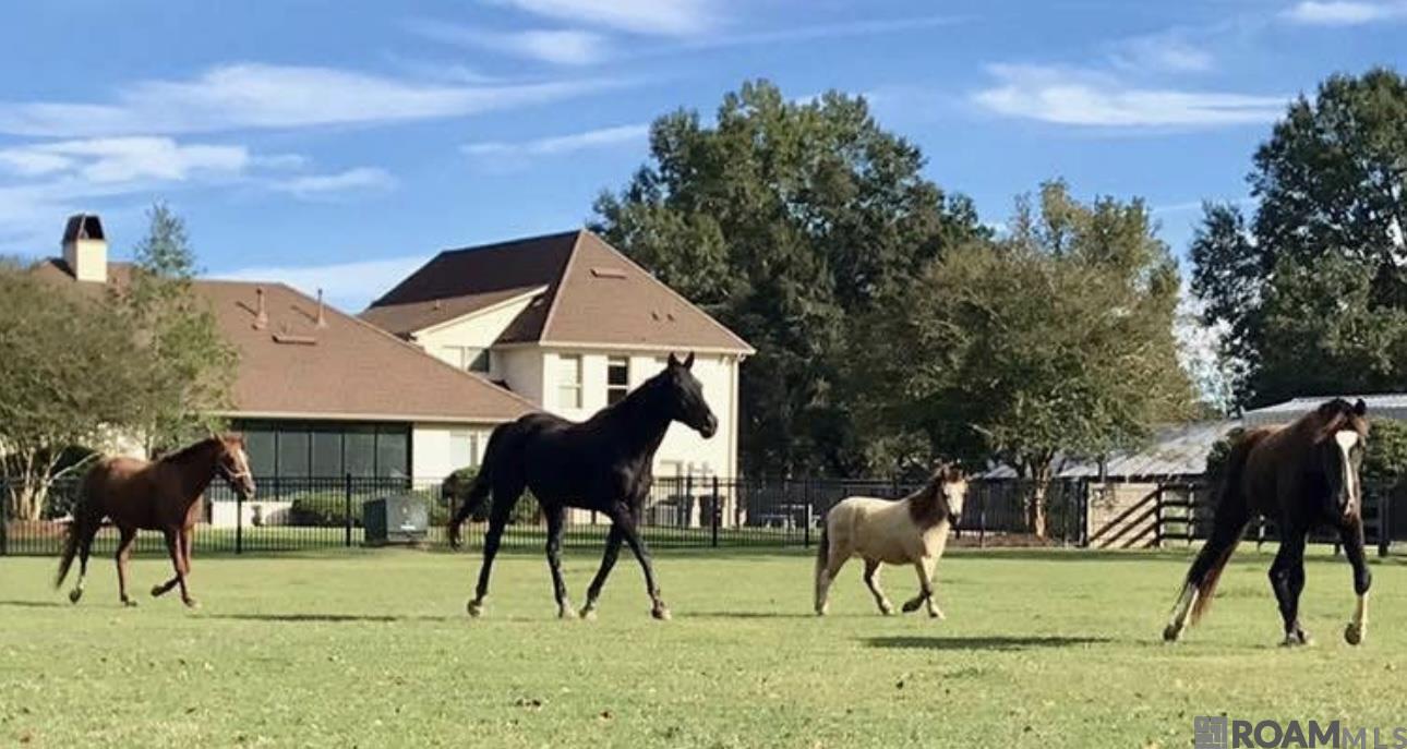 Gentleman's Country Estate and Horse Farm.  Five minutes from Central Private.  If you're looking for space, you've found it!  This estate boasts 17 cleared acres, three ponds, 4400+/-sq. ft. main house plus an approx. 2200 +/- sq. ft. two bedrooms guest house with the same finishes as the main house.  Brand new roof.  The main house has five bedrooms, four baths, a home theater, a 32' x 24' bonus room with kitchenette, state of the art sound system inside and out.  Both homes overlook the gorgeous pool, outdoor kitchen and fireplace.  The property also features a 24' x 54' workshop, covered RV parking, four car garage and a full house generator.  For Horse lovers, there are seven horse stalls, with a washing bay, infirmary/quarantine area, a fly/bug misting system and a riding arena.  The attention to detail is unbelievable.  Primary bath has heated floors, keyless entry on most exterior doors, epoxy garage floors, security cameras and much more!  This rare gem has too many amenities to list.  You will have to see it to believe it.  Owners have lovingly maintained this property and it shows.  All furnishings and  farm equipment are for sale. Call today for your private showing.
