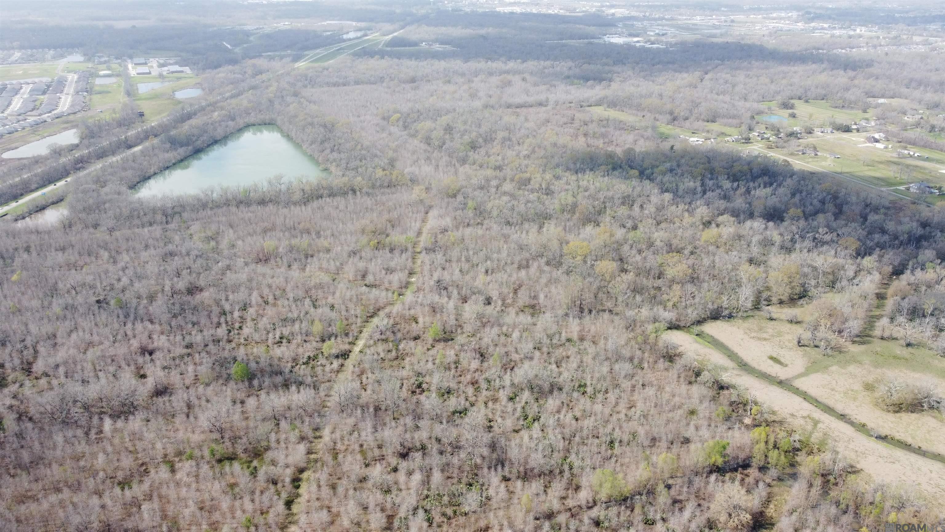 Here it is! 268 acres in Ascension Parish just minutes away from Baton Rouge. The majority of this property currently exists as an early successional bottomland hardwood timber stand with trees planted in 2011. A mitigation bank was established in 2011 and maintains a conservation easement in perpetuity. The current timber stand provides excellent vegetation and cover, making it an ideal habitat for deer, rabbits, and other small game. Located along the I-10 corridor, this property offers unmatched convenience with easy access to Baton Rouge, New Orleans, and Prairieville. This tract has established access trails providing easy travel throughout and around the property perimeter as well as an existing pipeline ROW that traverses the site. The trail camera pictures speak for itself, quality deer and excellent wildlife habitat. Give me a call to schedule a showing today!