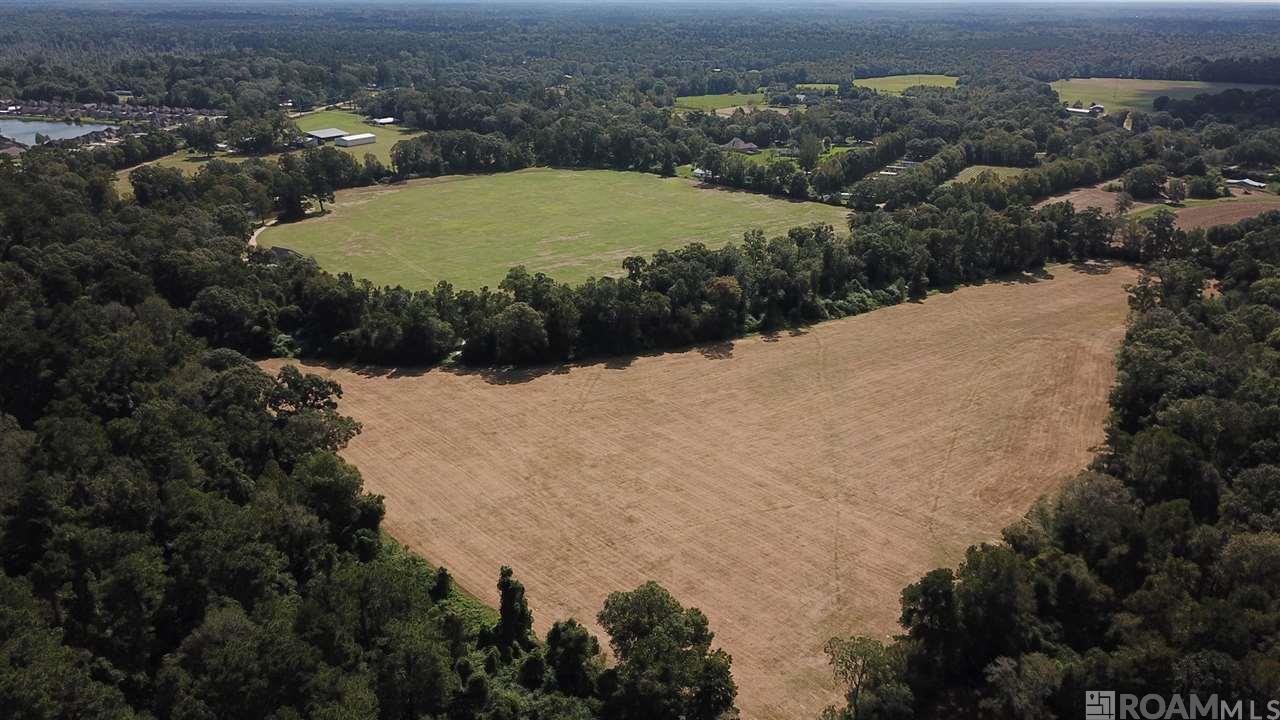 72.38+/- acre tract prime development opportunity in highly desirable South Denham Springs. Only 5 miles from Juban Crossing I-12 & 5.4 miles from I-12 exit at Range Ave. Mostly pasture land hay fields. Unlimited potential. 60x100 could be used as a horse riding arena w/ overhang being converted to stalls. Potential uses include wedding & event venue. Must see this beautiful tract! *Lot dimensions not warranted by Realtor*