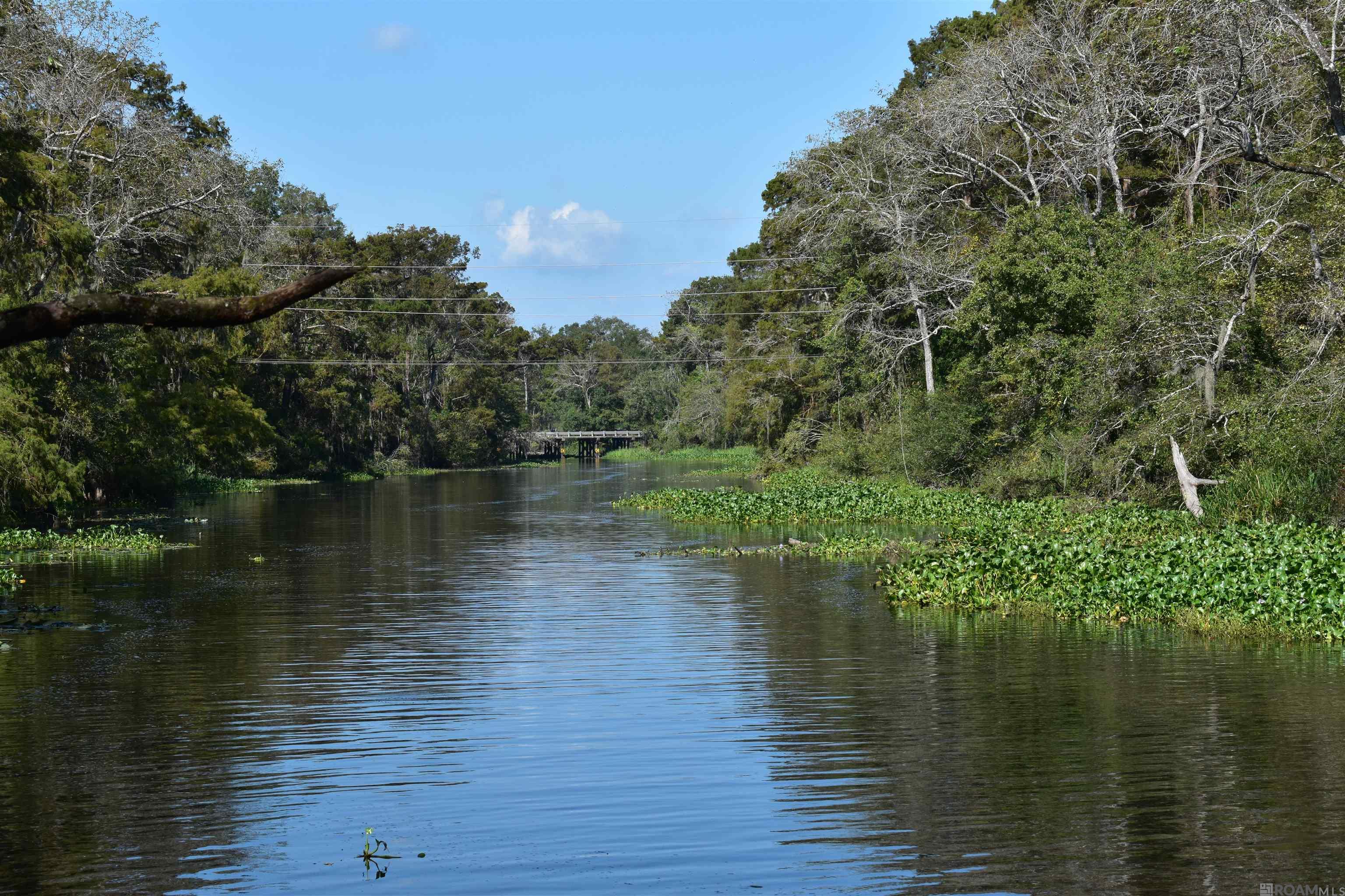 Undeveloped Land - 135 Acres - Waterfront - Private Island - Duck Pond - Private Launch. This sprawling property in Ascension Parish is perfect for the outdoor enthusiast looking to invest in a recreational or legacy property. It includes acreage on both sides of Lake Villar and Henderson Bayou and more than 4000 feet of undeveloped shoreline with waterway access to the Amite River. The interior acres contain large sections of seasonally flooded cypress, tupelo gum and willow with mixed sycamore, pine and oak in elevated areas. The property is highly productive habitat for deer, duck, black bear, alligator, smaller game, and assorted fish. The property’s hidden gem is a private 10+ acre island in the Amite River less than a mile from the Port Vincent bridge. The island's secluded shoreline and 17 foot elevation provide an eagle-eye view along the length of the Amite River. The property also contains a private boat launch, parking area and shoreline acreage along the southern edge of Lake Villar and Bayou Henderson. A paved road provides easy access to the launch and to large bottomland hardwood tracts on either side of the road on the eastern boundary. The northwest corner of the property features a half-acre duck pond nestled among a cypress grove just a short distance from a private drive off the nearest highway. Trail access extends from the private drive to an elevated bank on the northern shore of Lake Villar and Bayou Henderson. Key features of the property also include: Cleared and managed powerline servitude measuring 100’ x 3300’. Public utility access for shore property. Large undeveloped parcels with low pressure to the north and south. Easily accessible location just minutes outside of Baton Rouge and within 60 miles of New Orleans or the Northshore. Zoned Class II Timber/Marsh/Ag and Conservation/Res Non-Subdivided. Flood zone AE.