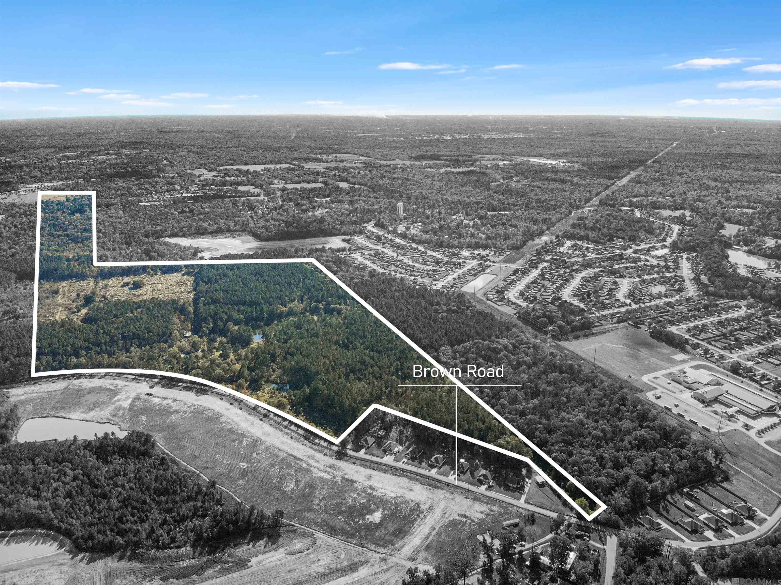 An extraordinary opportunity awaits with 130.55 acres of pristine land off Brown Road, just steps from Juban Parc Elementary and Juban Parc Junior High. This expansive property showcases acres upon acres of mature trees and untouched natural beauty—truly a one-of-a-kind tract unlike anything else in the area. The majority of the land lies in Flood Zone X and did not flood, offering added peace of mind and greater flexibility for future use. Whether you envision a private estate, recreational retreat, or future development, the possibilities are endless. With its premier location, remarkable landscape, and exceptional potential, this property stands out as a rare offering in one of the most sought-after corridors of Livingston Parish. Don’t miss the chance to own this exceptional piece of land. *Lot dimensions not warranted by Realtor.