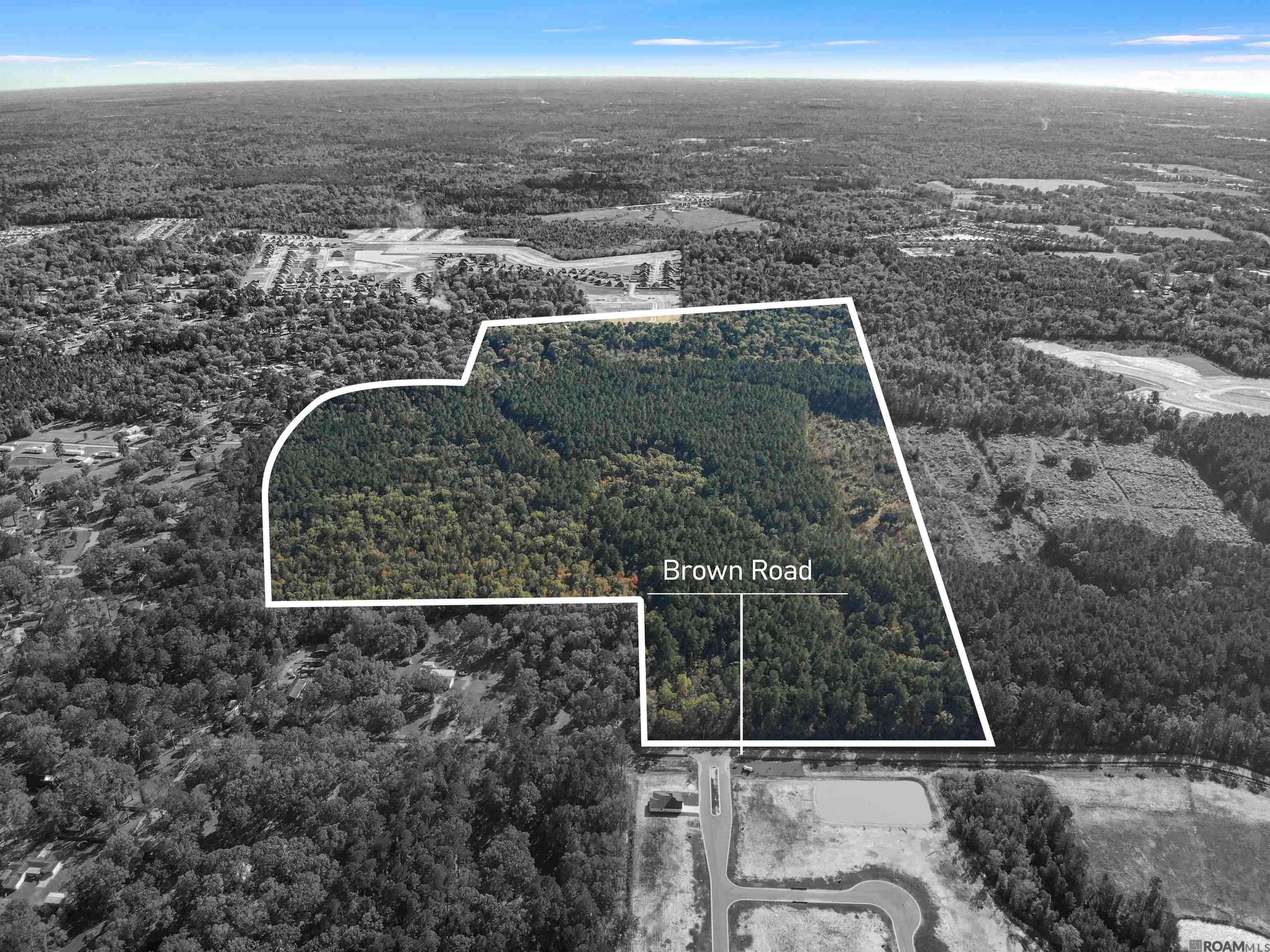 An extraordinary opportunity awaits with 141.35 acres of pristine land off Brown Road, just steps from Juban Parc Elementary and Juban Parc Junior High. This expansive property showcases acres upon acres of mature trees and untouched natural beauty—truly a one-of-a-kind tract unlike anything else in the area. The majority of the land lies in Flood Zone X and did not flood, offering added peace of mind and greater flexibility for future use. Whether you envision a private estate, recreational retreat, or future development, the possibilities are endless. With its premier location, remarkable landscape, and exceptional potential, this property stands out as a rare offering in one of the most sought-after corridors of Livingston Parish. Don’t miss the chance to own this exceptional piece of land.