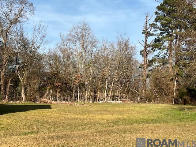 185 Pete Wilkes Rd, Marksville, LA, 71351