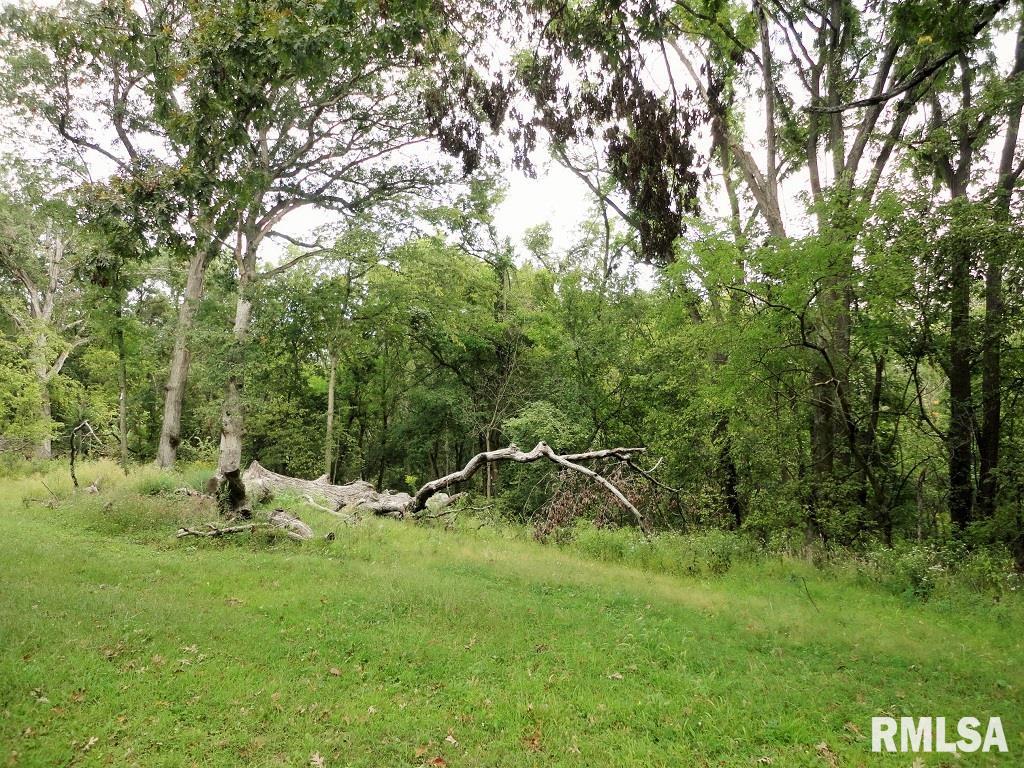 Gallery Image 25
